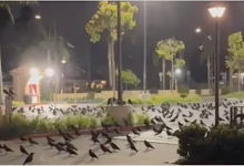 ‘Murder’ Mystery on Santa Barbara’s Milpas Street 