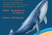 Dive Into Whale Trivia with SBMM