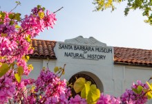 Estate Planning Essentials Workshop