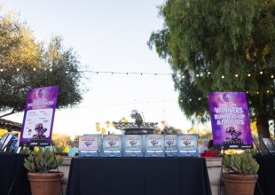 The Best in Town Boogie at Best Fest