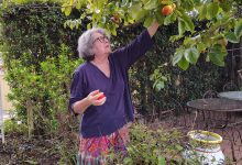 Open House and European Antiques Sale