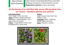 Mesa Harmony Garden Big Plant Giveaway