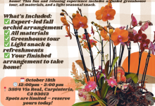 DIY Sustainable Fall Tablescapes with Westerlay
