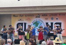 Poetry Connection | Connecting with Literary and Music Festivals