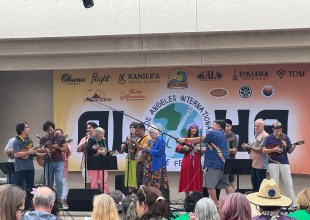 Poetry Connection | Connecting with Literary and Music Festivals