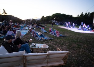 Wild & Free Film Festival Roars Ahead