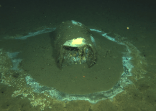 What’s Causing Eerie Halos Around Barrels on Ocean Floor?
