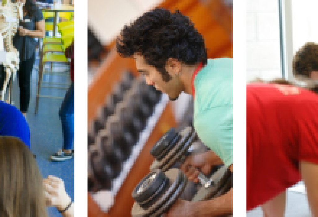 Santa Barbara City College Launches Three New Certification Pathways in Phys Ed.