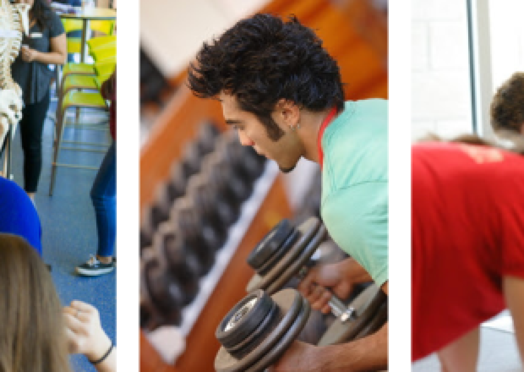 Santa Barbara City College Launches Three New Certification Pathways in Phys Ed.