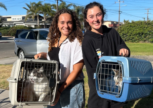 C.A.R.E.4Paws Creating Pet Refuge for Domestic Violence Victims