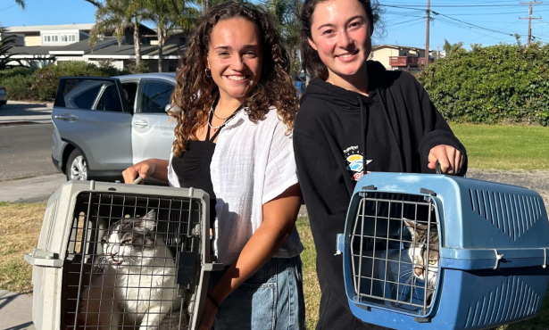 C.A.R.E.4Paws Creating Pet Refuge for Domestic Violence Victims