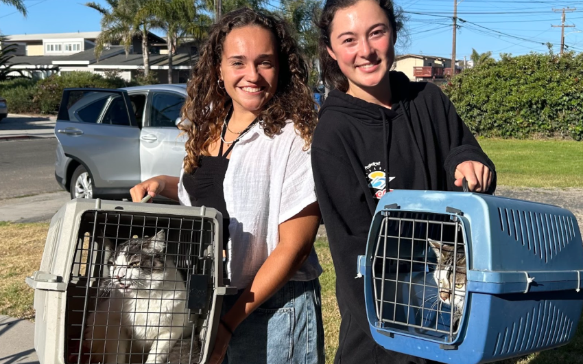 C.A.R.E.4Paws Creating Pet Refuge for Domestic Violence Victims