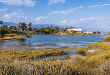 Attempted Sexual Assault Reported Near UC Santa Barbara Lagoon