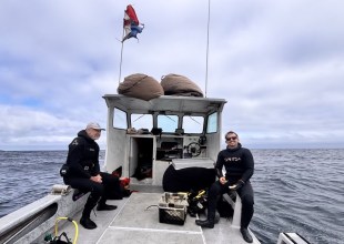 Bioblitz Reveals Hidden Biodiversity in the Santa Barbara Channel