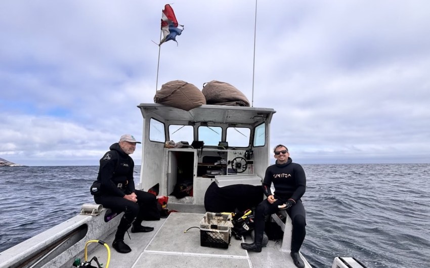 Bioblitz Reveals Hidden Biodiversity in the Santa Barbara Channel