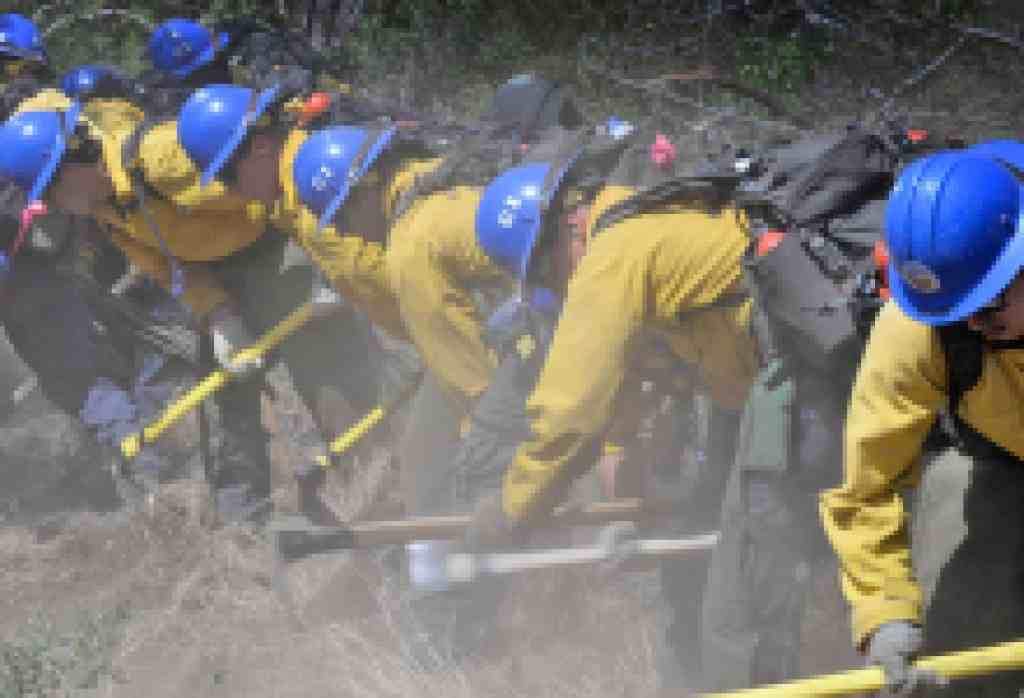 Santa Barbara County Fire Department Awarded Grant Funding for the Santa Barbara Vegetation Management Program (VMP) and Ignition Prevention Project