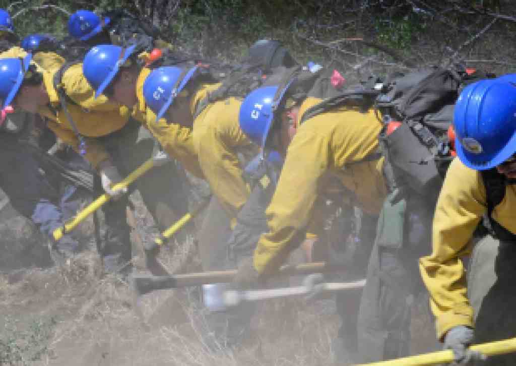 Santa Barbara County Fire Department Awarded Grant Funding for the Santa Barbara Vegetation Management Program (VMP) and Ignition Prevention Project