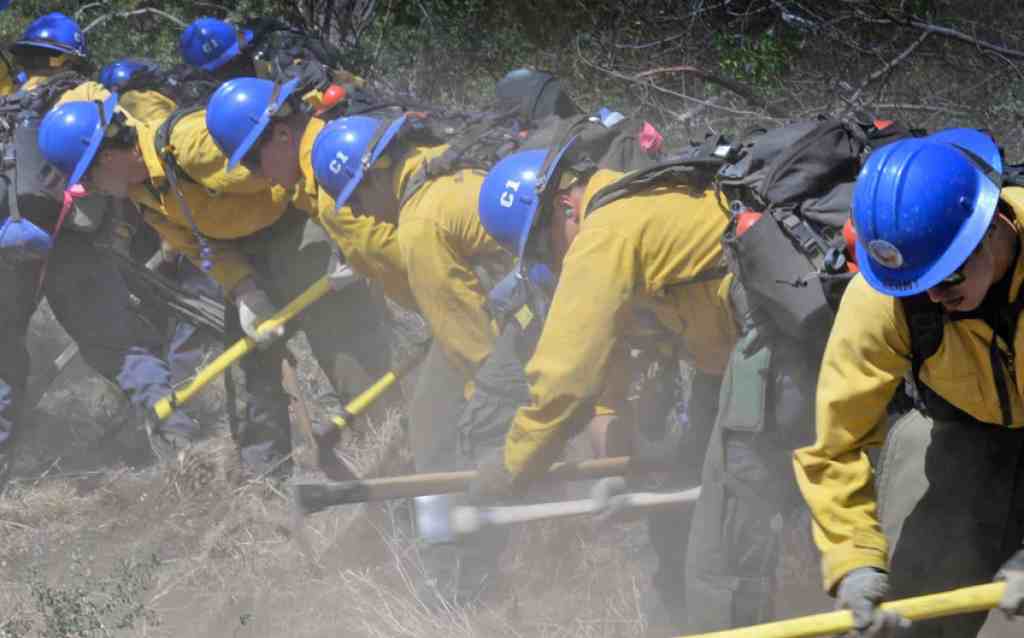 Santa Barbara County Fire Department Awarded Grant Funding for the Santa Barbara Vegetation Management Program (VMP) and Ignition Prevention Project