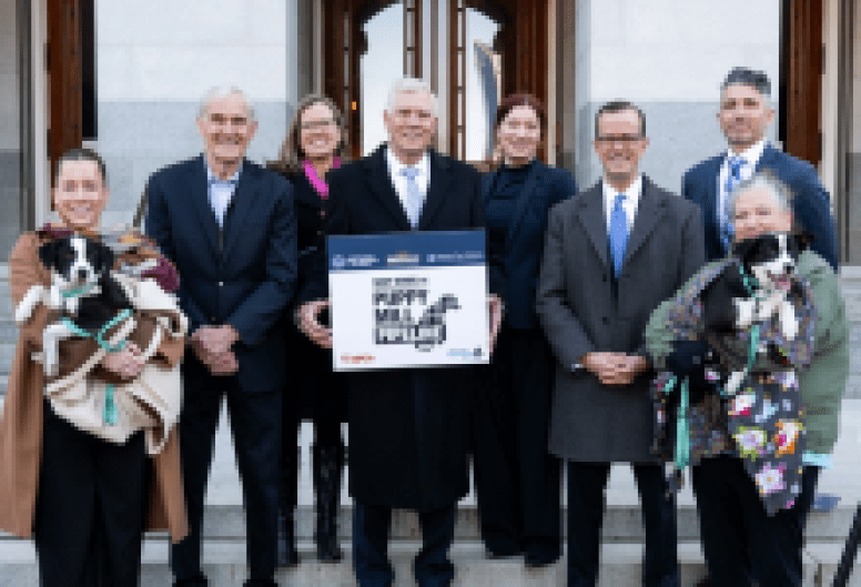  Gov. Newsom Signs Bills to Stop the Puppy Mill Pipeline in California