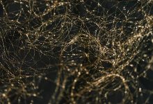 Media Industries and AI: Critical Conversations