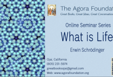 Online Seminar Series: Mind and Matter