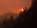Science Pub: Building Wildfire Resilience