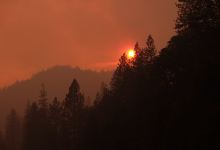 Science Pub: Building Wildfire Resilience