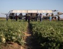 How Fear of Trump’s Immigration Blitz Is Changing Life in California Farm Towns