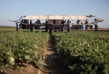 How Fear of Trump’s Immigration Blitz Is Changing Life in California Farm Towns