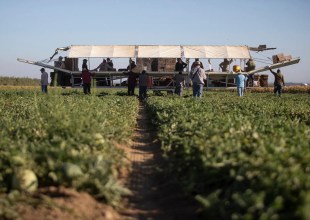 How Fear of Trump’s Immigration Blitz Is Changing Life in California Farm Towns