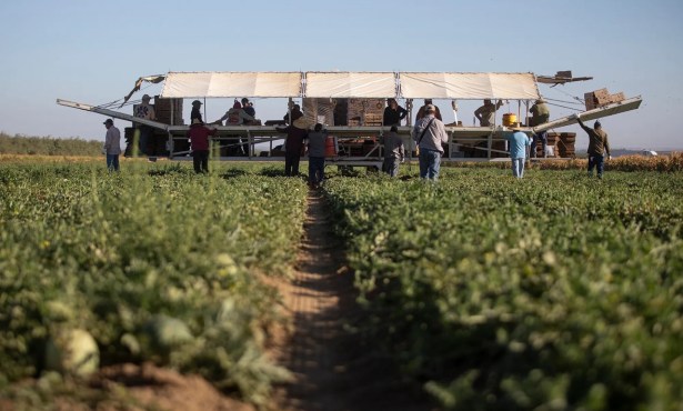 How Fear of Trump’s Immigration Blitz Is Changing Life in California Farm Towns