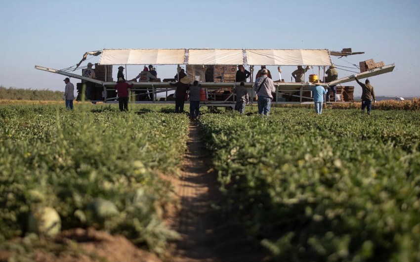 How Fear of Trump’s Immigration Blitz Is Changing Life in California Farm Towns