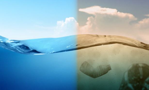 Recent Historic Agreements May Save Our Oceans