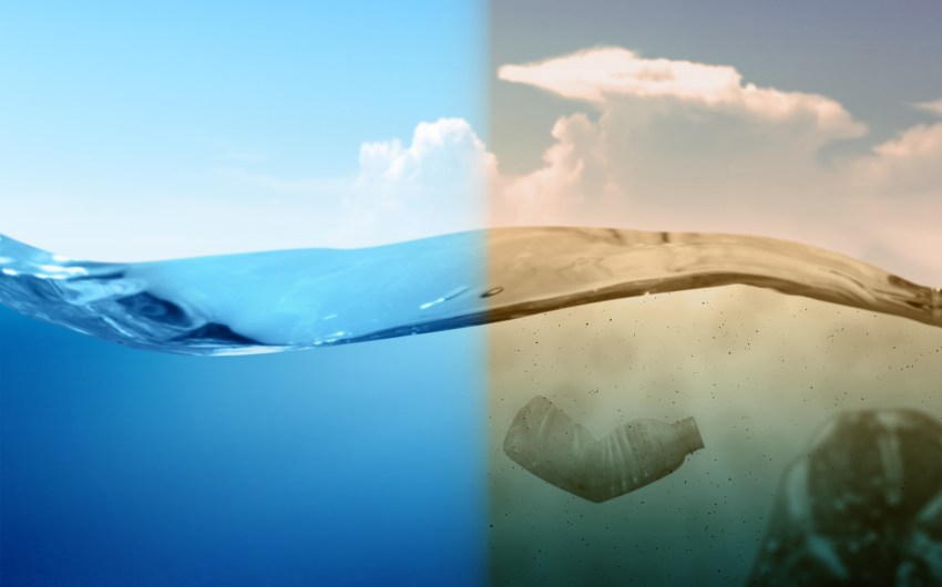 Recent Historic Agreements May Save Our Oceans