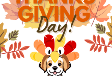 Thanksgiving at The Cruisery