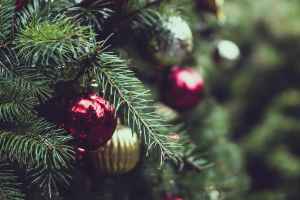 Cabrillo High School Aquarium Open House: SEAsons