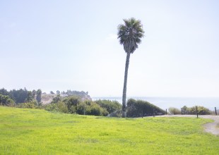 Ancestry Dispute at Dos Pueblos Ranch