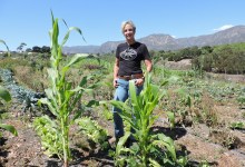 Small Farm Helping Fill Growing Need in Santa Barbara 
