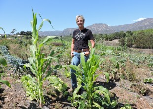 Small Farm Helping Fill Growing Need in Santa Barbara 