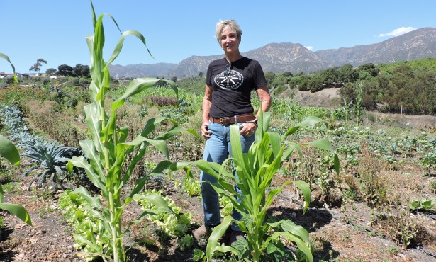 Small Farm Helping Fill Growing Need in Santa Barbara 