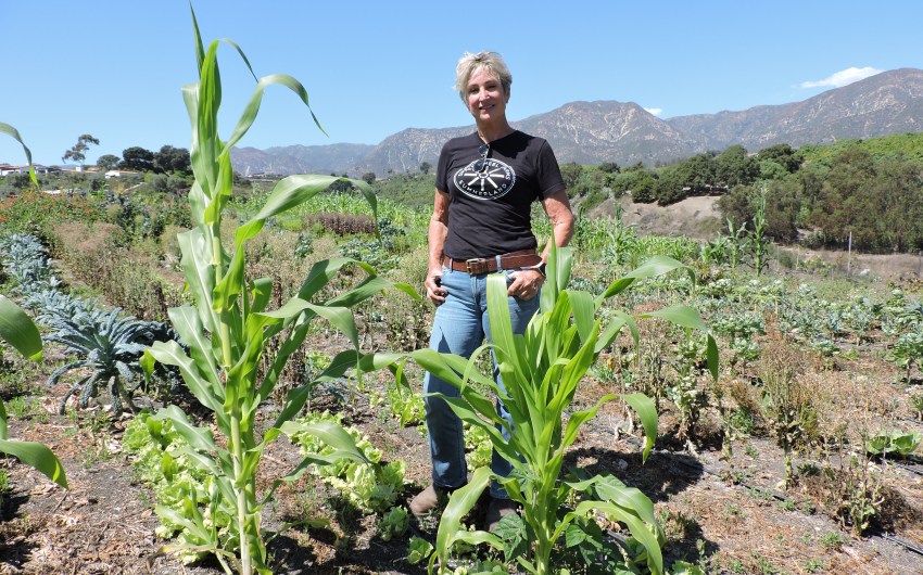 Small Farm Helping Fill Growing Need in Santa Barbara 
