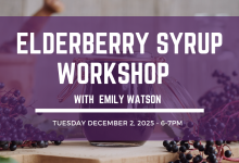 Elderberry Syrup Making Workshop