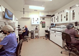 What’s Happening with IVF? Federal Initiatives, State Mandates, Local Concerns