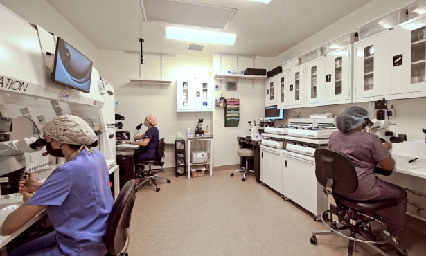 What’s Happening with IVF? Federal Initiatives, State Mandates, Local Concerns