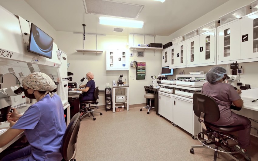 What’s Happening with IVF? Federal Initiatives, State Mandates, Local Concerns