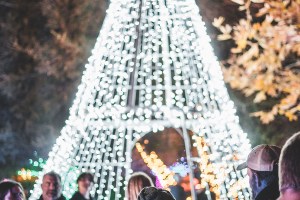 SYV Holiday Lights Festival