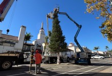 Holiday Cheer Is Here: Santa Barbara’s Downtown Holiday Tree Goes Up