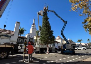 Holiday Cheer Is Here: Santa Barbara’s Downtown Holiday Tree Goes Up
