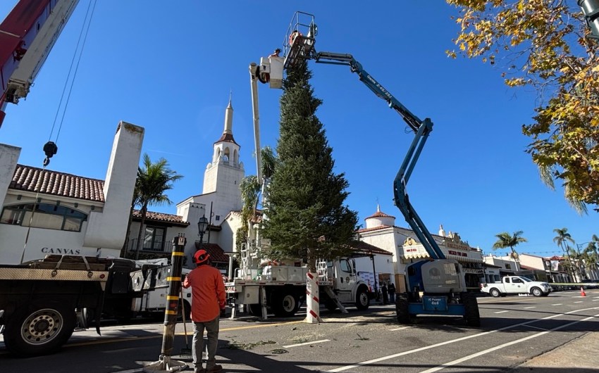 Holiday Cheer Is Here: Santa Barbara’s Downtown Holiday Tree Goes Up