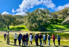 Public Hikes at Sedgwick Reserve